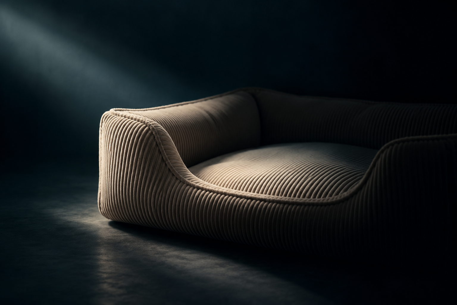 Concept illustration of a dog bed partially revealed in shadow